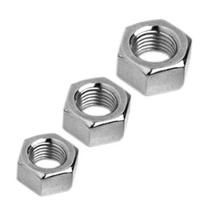 Stainless Steel Nuts